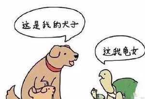 古代儿子为什么叫做犬子 女儿为什么又叫做千金