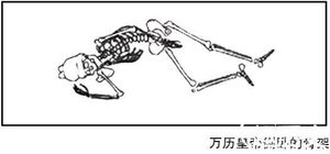 万历皇帝”北斗七星”葬式揭秘：万历帝古怪葬式