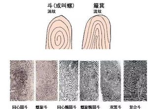 古代也有“指纹技术”？古人是如何运用的？