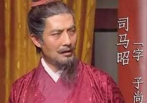 曹魏打仗都没有缺过粮 曹魏灭蜀汉为何花了几十年时间