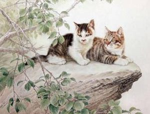 陆游有多喜欢猫？他曾为猫写过哪些诗词？