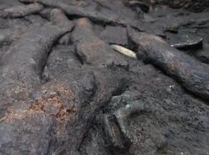海昏侯墓规模远超马王堆和三星堆 海昏侯名气为何那么低