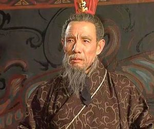 以遵守礼义著名的曹魏官员：揭秘司马芝的生平