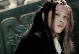 颇受秦始皇宠爱的嬴阴嫚，最后的结局是什么？她的生母又是谁？