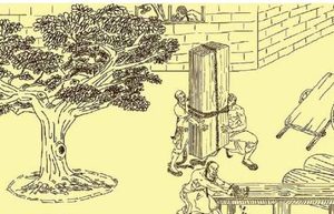 建造紫禁城需要的木材，是从何而来的？为什么不会腐烂？