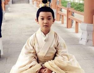 刘子鸾得到很多疼爱，为什么他年仅十岁就去世了？
