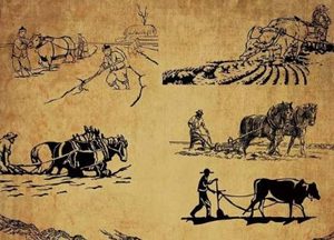 战国时期，为什么各国都普遍实行以符节调兵的制度？