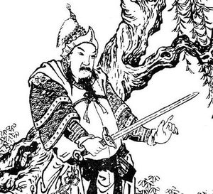 钟会和姜维有重兵又占据蜀国 两人造反为什么会迅速失败