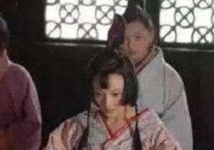 古代王爷小妾那么多 除了传宗接代外还有什么用途