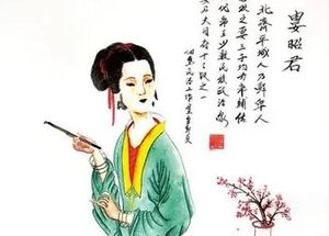 娄昭君是什么人？四个皇帝的母亲