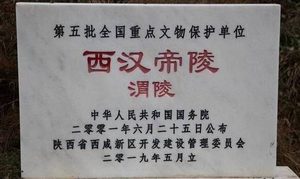 西汉第九位皇帝，汉元帝生平有哪些事迹？