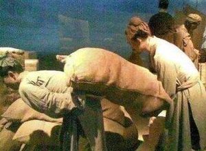 古代人口和现代人口相比 古人数量为何那么少