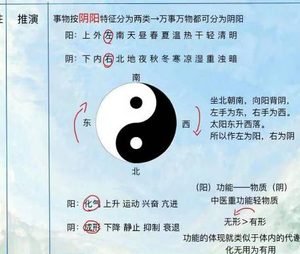 阴阳学说溯源：从哲学萌芽到思想体系的确立