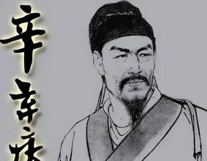 辛弃疾：文官之躯，武将之魂——南宋历史中的双重传奇