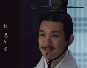 龙阳君：战国风云中的传奇美男与政治家