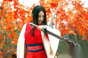 武神赵子龙第33集剧情介绍：公孙宝月行刺袁绍