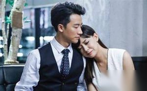 亲爱的翻译官第31集剧情：文晓华婚姻失败企图找家阳