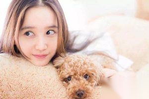 《半妖倾城》女主聂倾城妹妹聂倾心的扮演者是谁