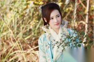 大仙衙门第33集剧情介绍 王元丰顺利破安娘案
