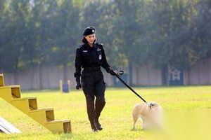 警花与警犬结局是什么 杜飞李姝寒最后在一起吗