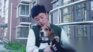 警花与警犬第19集剧情：杜飞姝寒共同助养七喜