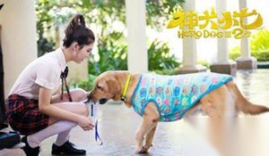 神犬小七第二季第1集剧情介绍 欧叶忘记了小七