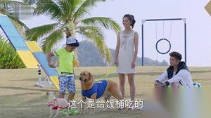 神犬小七第二季第10集剧情介绍 诺诺收留法斗犬