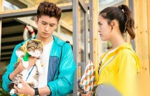 神犬小七第二季第14集剧情 鲍宇小七创造新商机