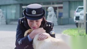 警花与警犬第35集剧情：众人合力为姝寒疗伤
