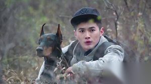 警花与警犬第38集剧情：寻踪查迹张扬被捕
