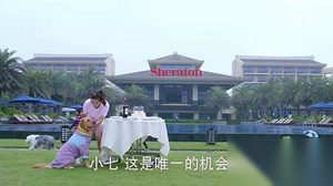神犬小七第二季第19集剧情 欧叶热情给鲍宇过生日
