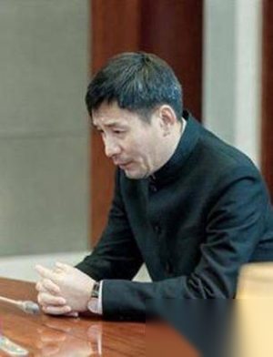 《中国式关系》罗世丰扮演者田小洁个人简介