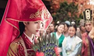 电视剧《芸汐传》一共多少集 主要剧情讲的是什么