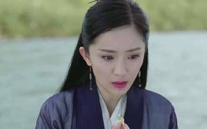 《扶摇》扶摇和无极交换信物情定终身，无极把玄灵真叶留给了扶摇