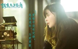 张天爱陈柏霖电视剧《鳄鱼与牙签鸟》什么时候播出？鳄鱼与牙签鸟的故事