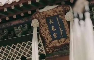 《延禧攻略》琥珀向璎珞揭发尔晴的恶行，原来皇后是因她而死