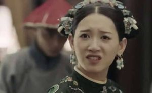 《延禧攻略》尔晴在越南领盒饭是什么梗 原来是越南网站更新的比国内快