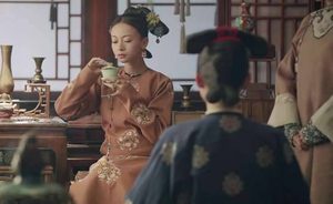《延禧攻略》傅恒口中的集“美丽，忠诚，正直，勇敢”于一身的神秘女子到底是谁？顺嫔终于要上线了！