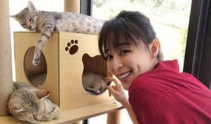 《无双》阮文会是真正的画家吗 阮文跟李问的感情如何