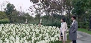 《凉生我们可不可以不忧伤》天佑坠海失明后为什么逼姜生离开？真相是什么？