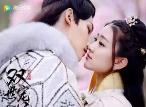 《双世宠妃2》主要讲述了什么事情 第二部会是延续第一部吗