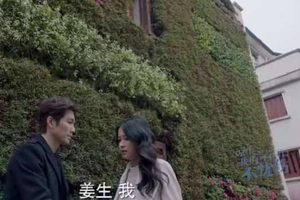 《凉生我们可不可以不忧伤》凉生得癌症了吗？北小武最后的结局也很惨