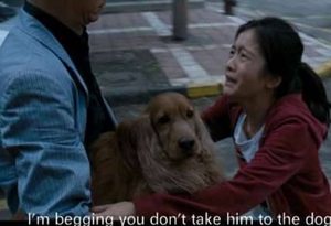 《狗十三》剧情怎么样 为什么该电影是所有孩子成大的缩影