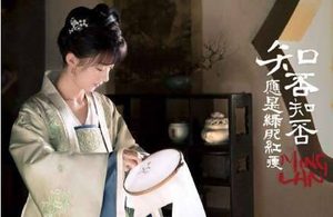 《知否知否应是绿肥红瘦》是湖南卫视2018年最后的希望吗 为什么会这么说