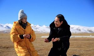 《闪亮的名字》剧情主要讲了什么？是保护藏羚羊的故事吗