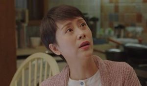 《小欢喜》童文洁为什么就是不同意方一凡艺考？