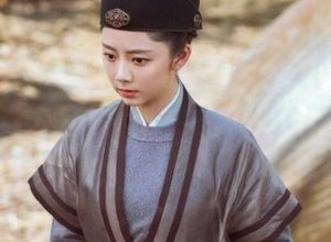 《锦衣之下》夏言是谁？他和袁今夏是什么关系？