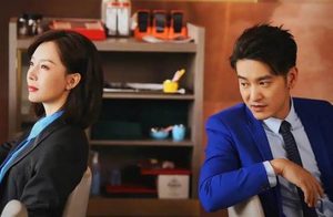 《谁说我结不了婚》袁文康评价怎么样？与陈数同框演情侣
