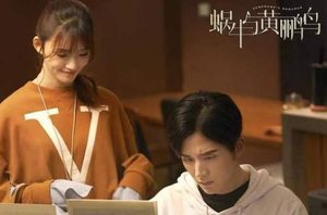 《二十不惑》讲的是什么故事？关晓彤新剧将袭