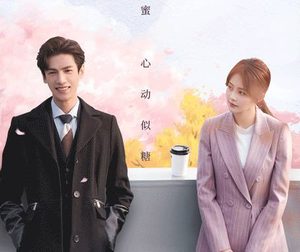 《半是蜜糖半是伤》是什么剧？网友：齁甜！
